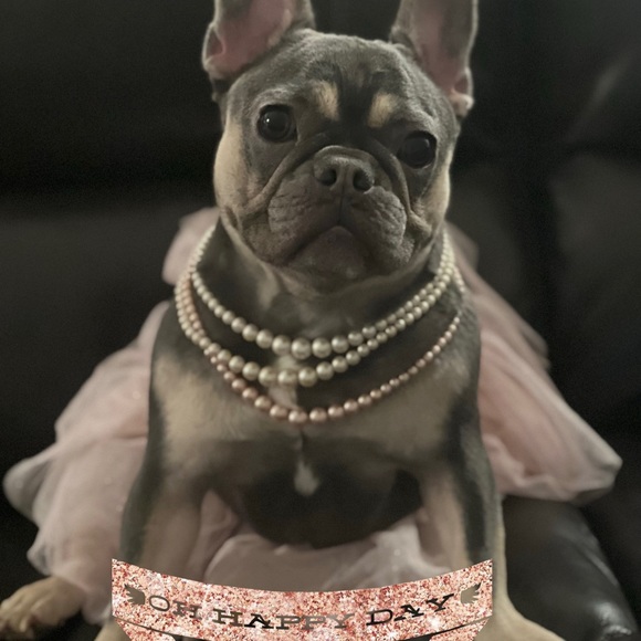 Meet your Posher, Angela - Picture 8 of 9